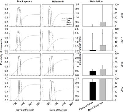 Variation of Stem Radius in Response to Defoliation in Boreal Conifers